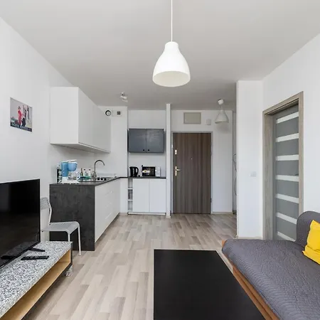 Borkowska Standard Krakau