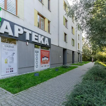 Borkowska Standard *