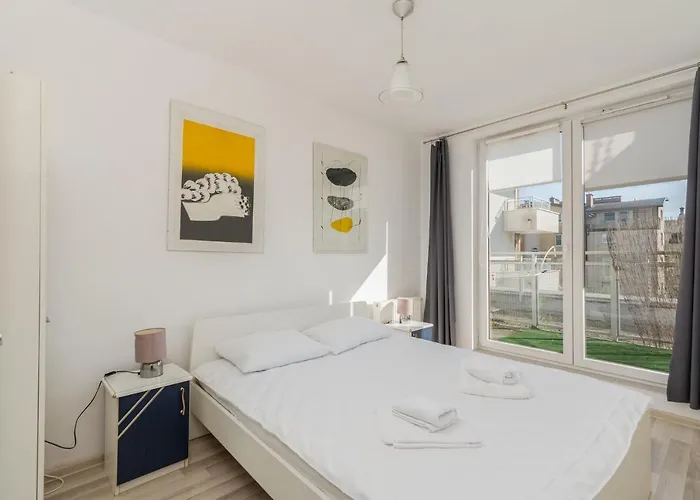 Borkowska Standard * Cracovia